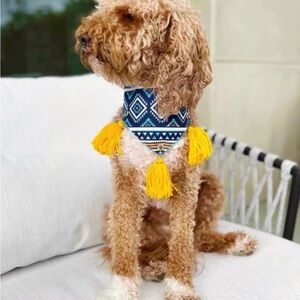 Homemade Stylish Blue and Yellow Dog Bandana